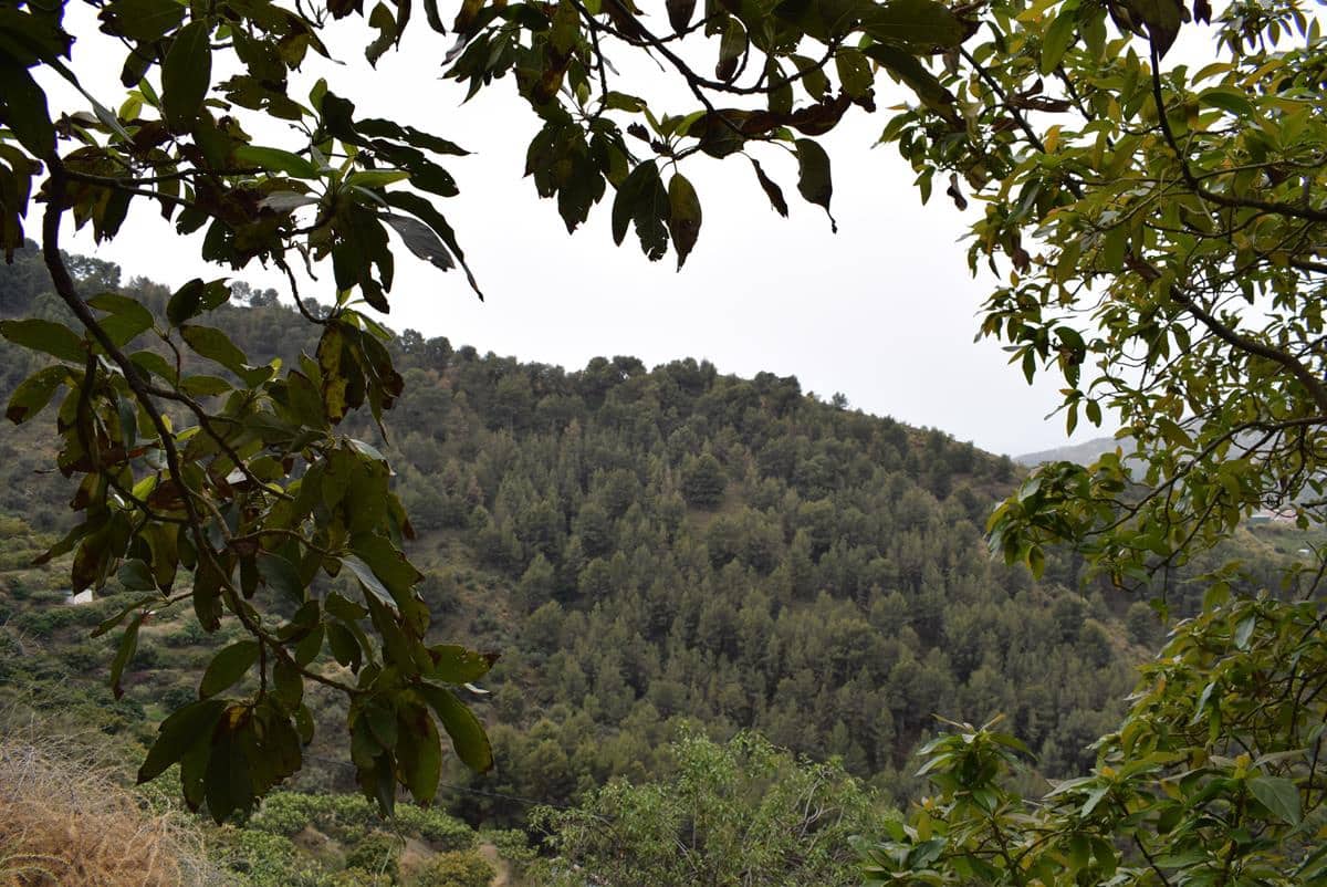 Finca/Country House for sale in Jete - € 69,000 (Ref: 6943872)