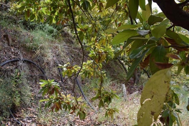 Finca/Hus på landet till salu i Jete - 69 000 € (Ref: 6943872)