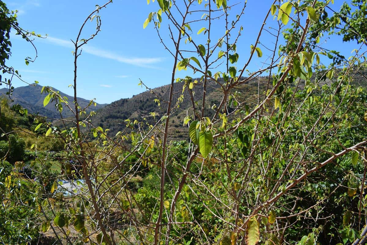 6 soveværelse Byhus til salg i Otivar - € 99.500 (Ref: 7673144)