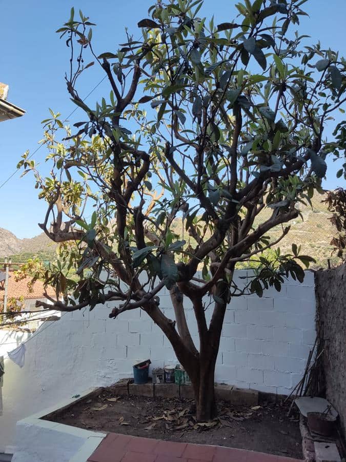 4 soveværelse Byhus til salg i Lentegi med garage - € 130.000 (Ref: 7757416)