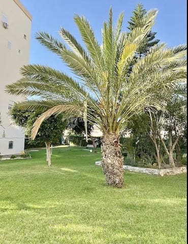 1 soveværelse Studio til leje i La Cala del Moral, Rincón de la Victoria med swimmingpool - € 700 (Ref: 8696003)