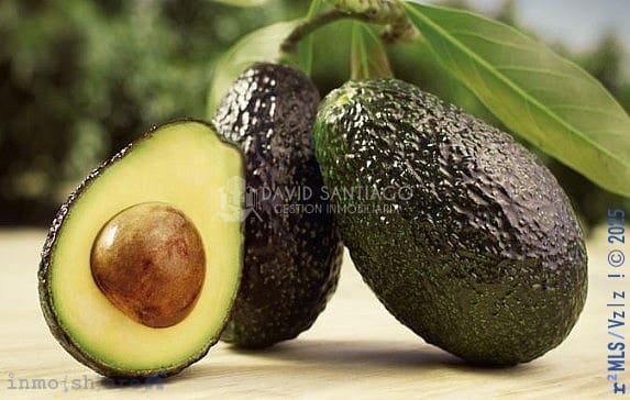 Finka/Dom wiejski na sprzedaż w Trapiche - 225 000 € (Ref: 8848547)