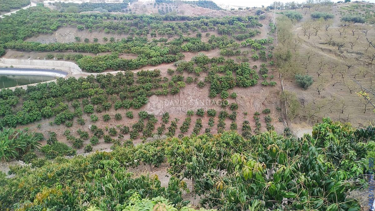 Finca/Landehus til salg i Velez-Malaga - € 2.290.000 (Ref: 8848549)