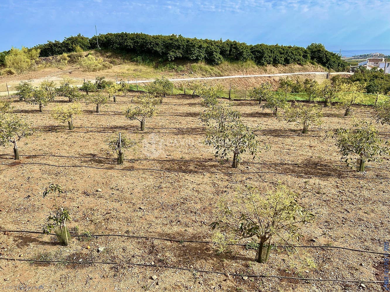 Ubebygd land til salgs i Velez-Malaga - € 199 000 (Ref: 8848550)