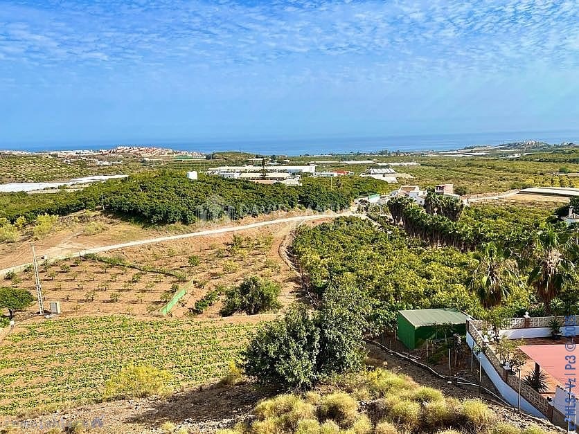 Ubebygd land til salgs i Velez-Malaga - € 199 000 (Ref: 8848550)