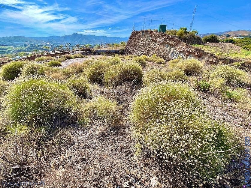 Ubebygd land til salgs i Velez-Malaga - € 199 000 (Ref: 8848550)