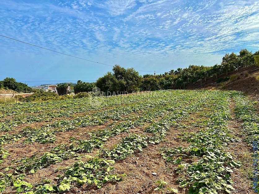 Ubebygd land til salgs i Velez-Malaga - € 199 000 (Ref: 8848550)