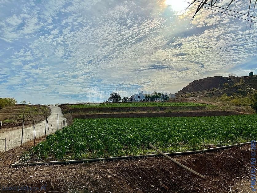 Ubebygd land til salgs i Velez-Malaga - € 199 000 (Ref: 8848550)