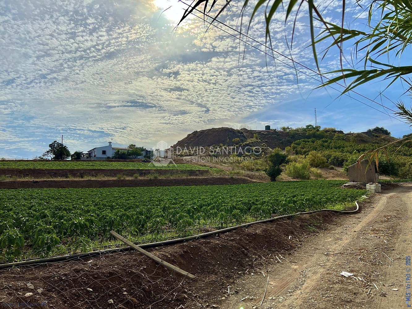 Ubebygd land til salgs i Velez-Malaga - € 199 000 (Ref: 8848550)