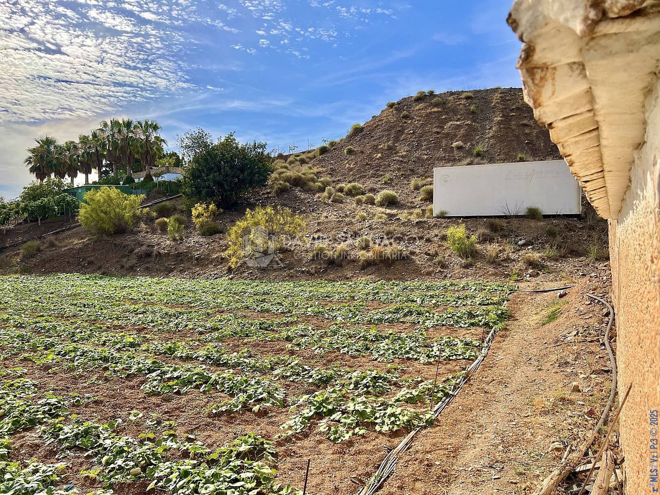 Ubebygd land til salgs i Velez-Malaga - € 199 000 (Ref: 8848550)