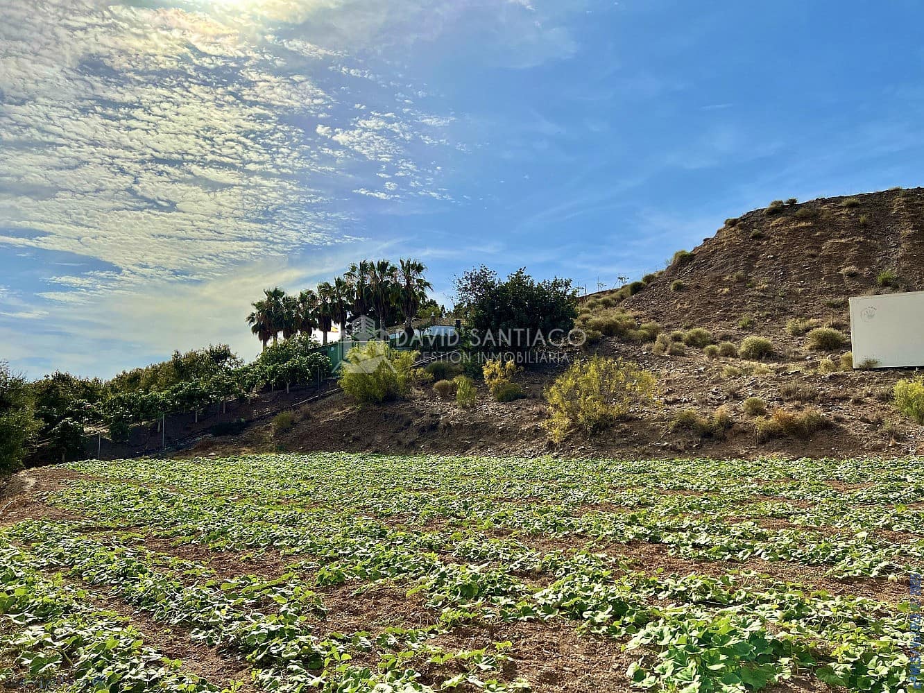 Ubebygd land til salgs i Velez-Malaga - € 199 000 (Ref: 8848550)