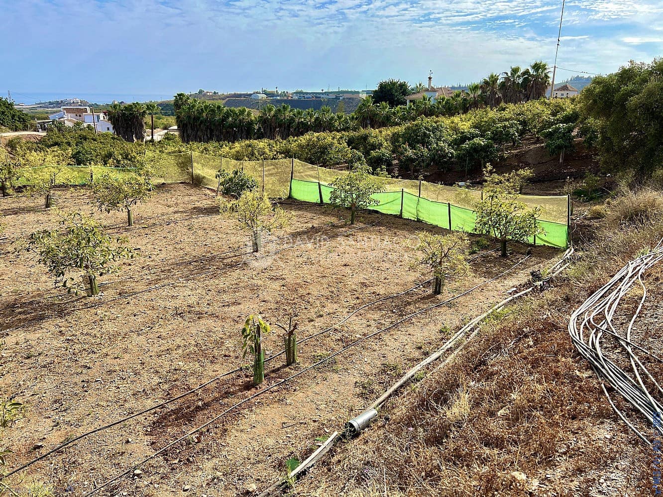 Ubebygd land til salgs i Velez-Malaga - € 199 000 (Ref: 8848550)