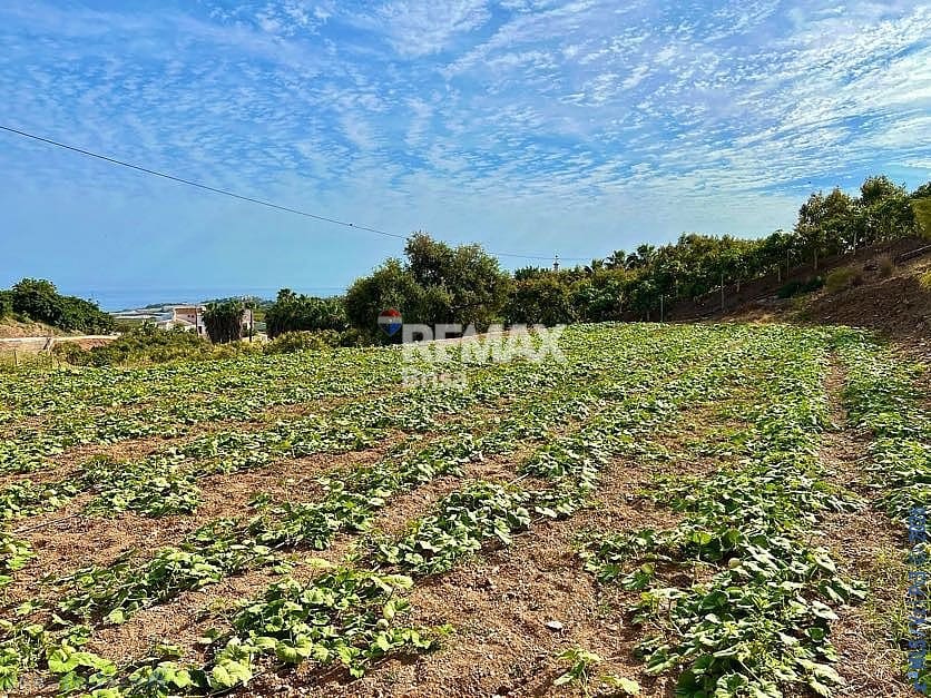 Mark till salu i Velez-Malaga - 199 000 € (Ref: 8848550)