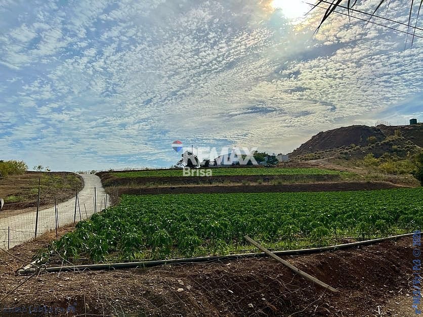 Mark till salu i Velez-Malaga - 199 000 € (Ref: 8848550)