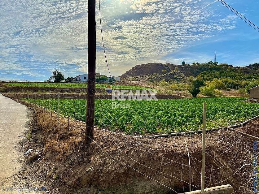 Mark till salu i Velez-Malaga - 199 000 € (Ref: 8848550)