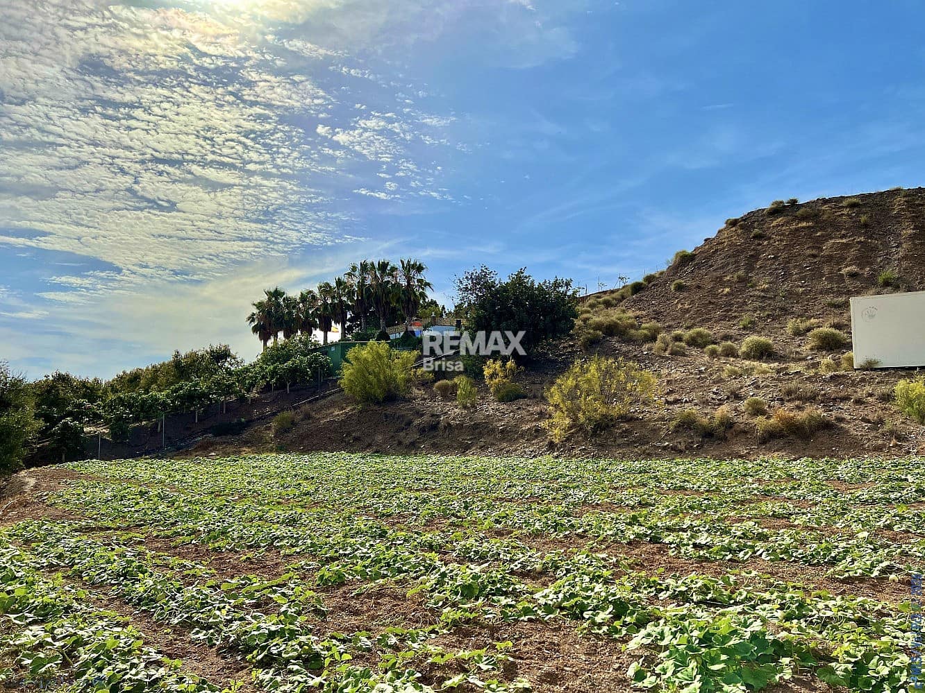 Mark till salu i Velez-Malaga - 199 000 € (Ref: 8848550)