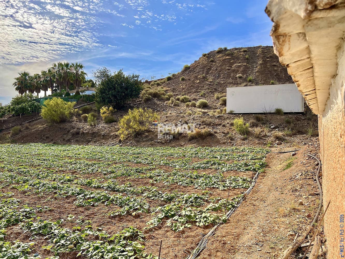 Mark till salu i Velez-Malaga - 199 000 € (Ref: 8848550)