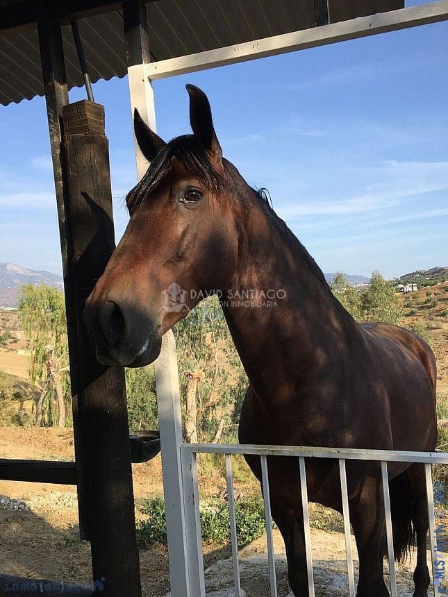 6 soveværelse Byhus til salg i Vinuela med swimmingpool garage - € 820.000 (Ref: 8879223)