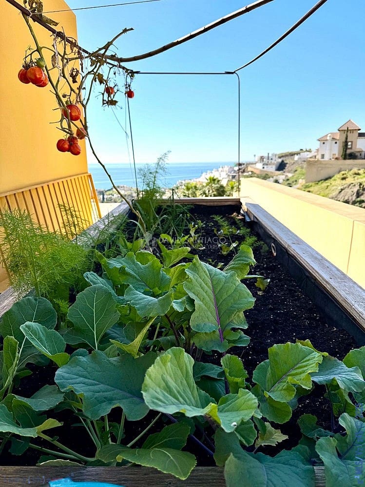 3 soveværelse Byhus til salg i El Penoncillo med swimmingpool - € 1.250.000 (Ref: 8883883)