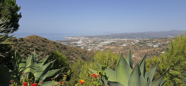 3 sovrum Villa till salu i Sayalonga med pool - 698 000 € (Ref: 9131144)