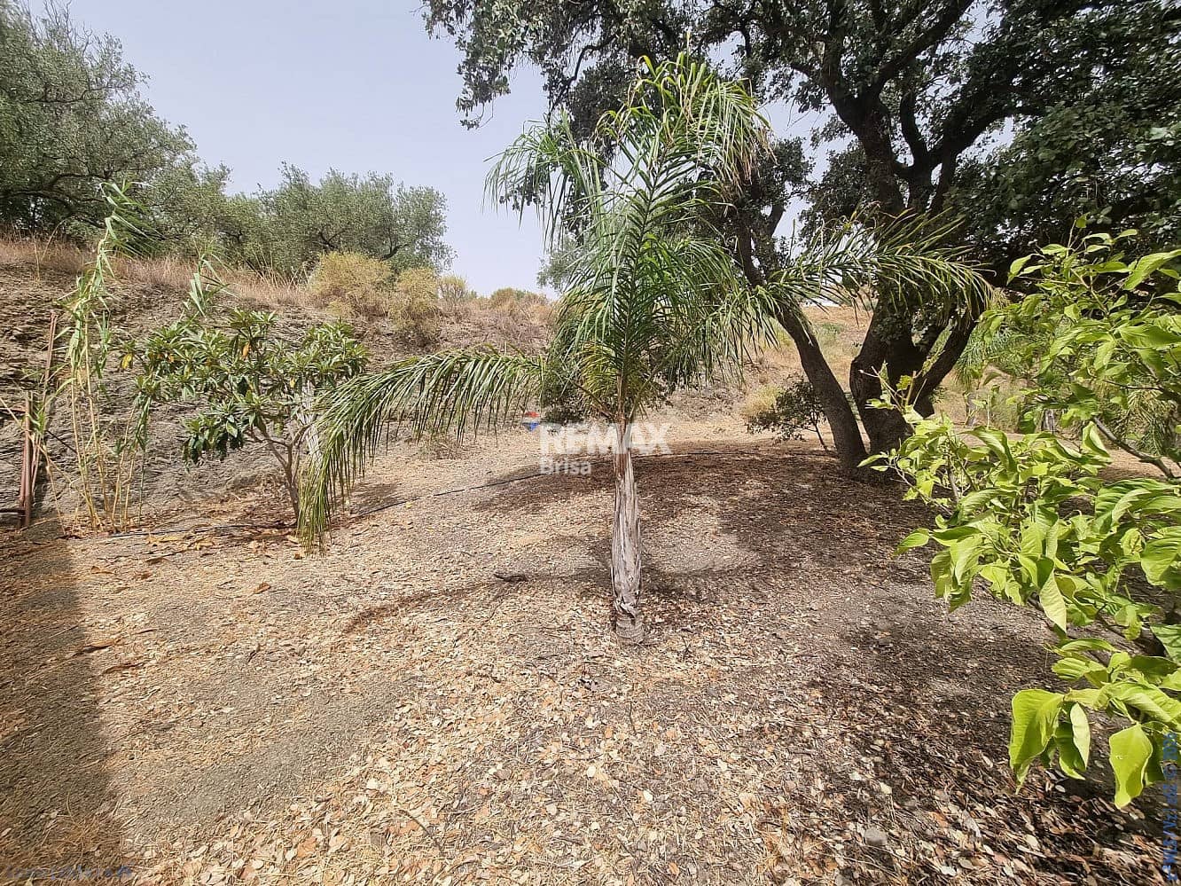 3 soverom Hus til salgs i Canillas de Aceituno - € 265 000 (Ref: 9203505)