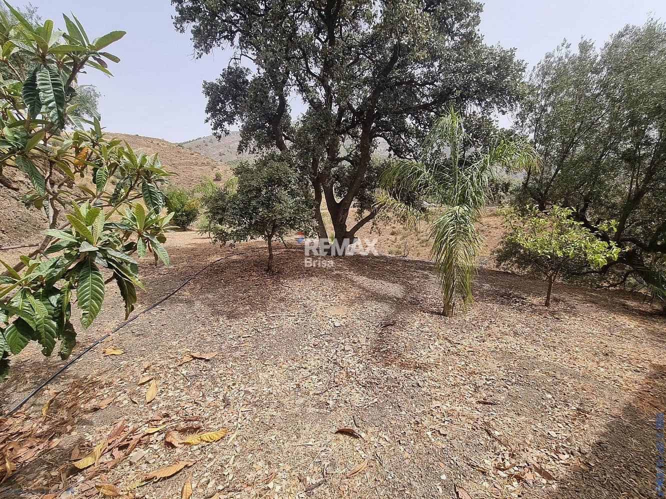 3 soverom Hus til salgs i Canillas de Aceituno - € 265 000 (Ref: 9203505)