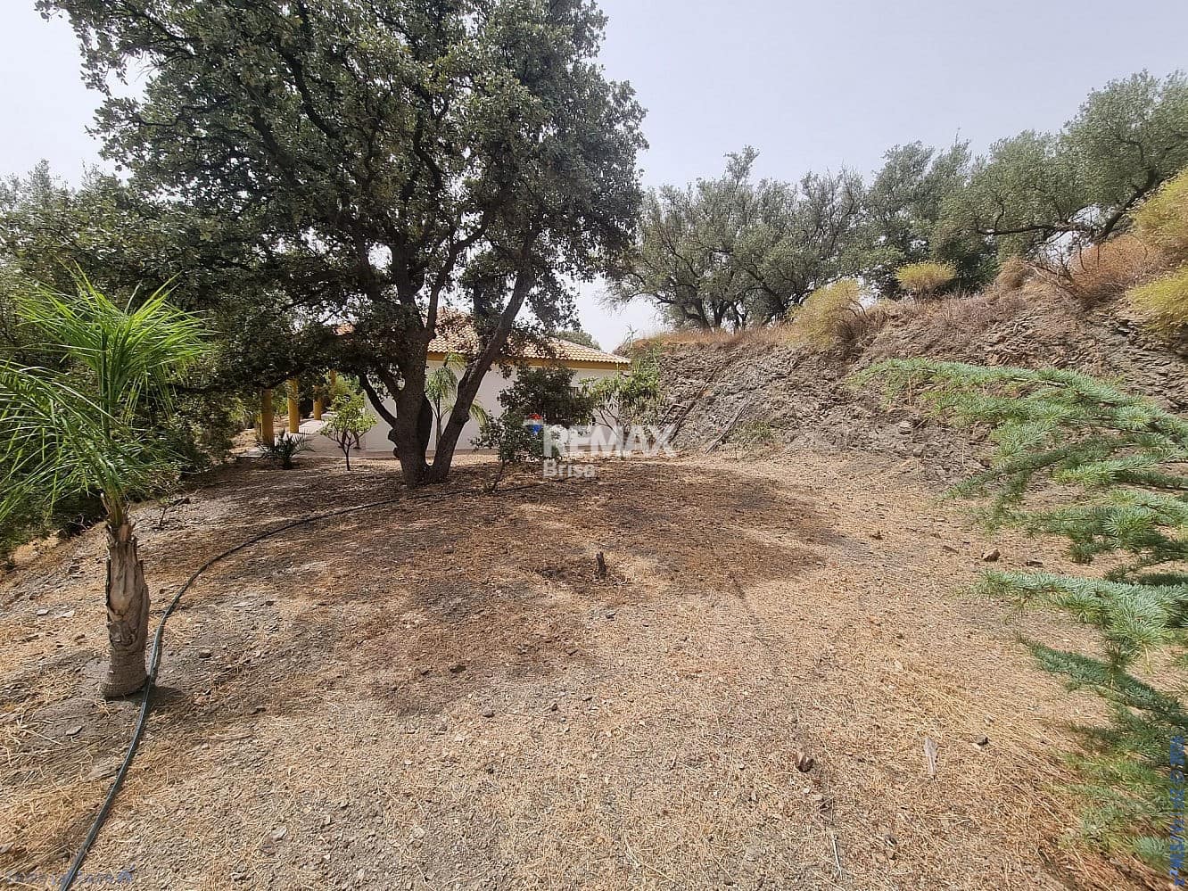 3 soverom Hus til salgs i Canillas de Aceituno - € 265 000 (Ref: 9203505)