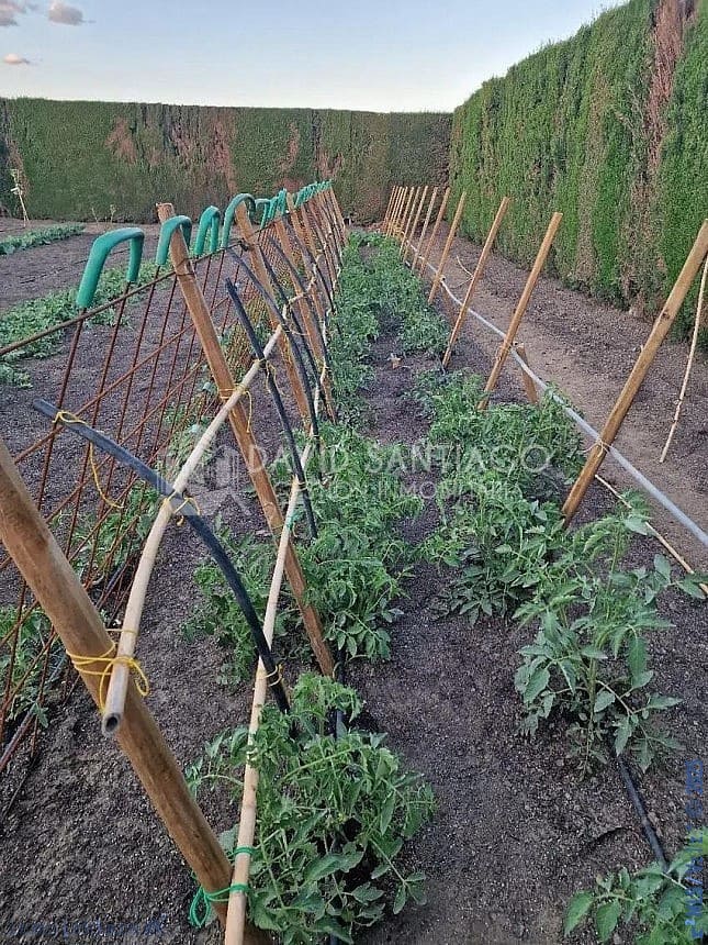 3 sovrum Hus till salu i Almayate med garage - 530 000 € (Ref: 9481399)