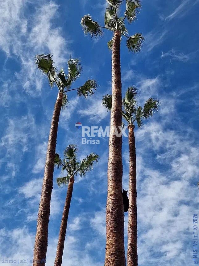 3 slaapkamer Huis te koop in Almayate met garage - € 530.000 (Ref: 9481399)