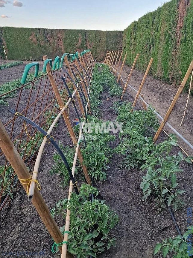 3 slaapkamer Huis te koop in Almayate met garage - € 530.000 (Ref: 9481399)