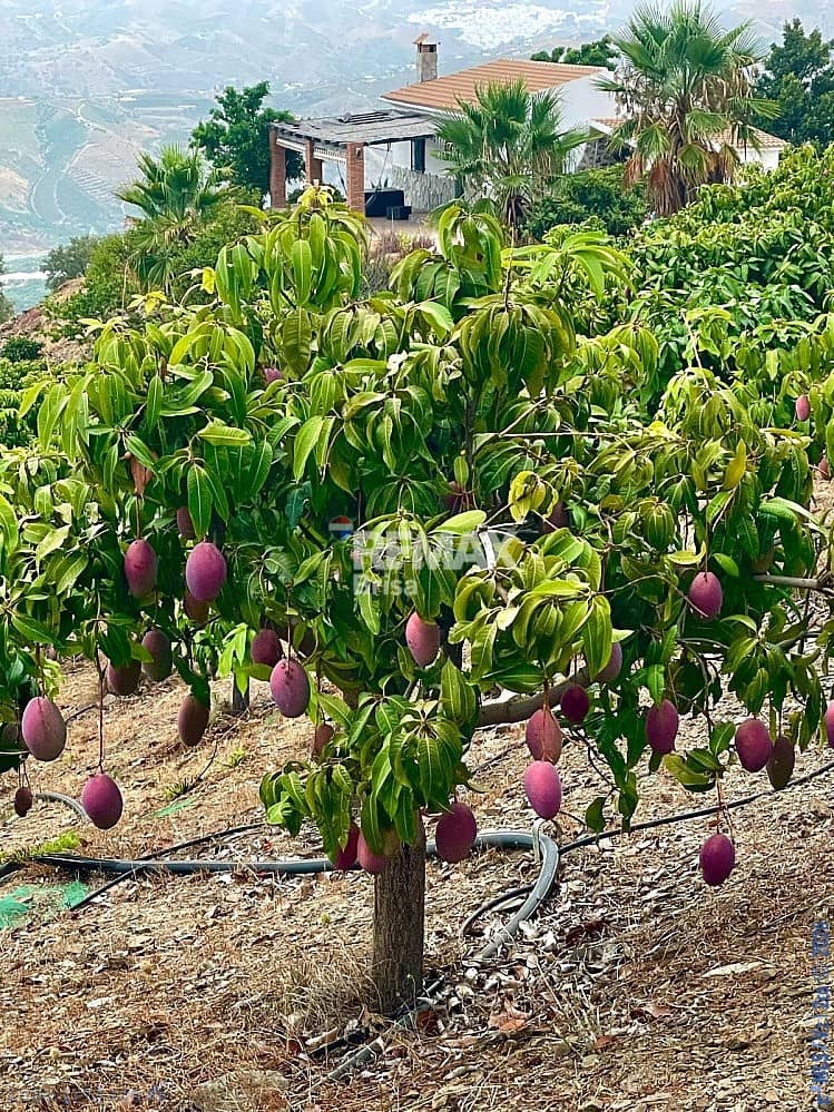 2 Zimmer Haus zu verkaufen in Velez-Malaga mit Pool - 420.000 € (Ref: 9559154)