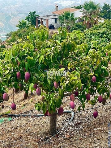 2 Zimmer Haus zu verkaufen in Vélez-Málaga mit Pool - 420.000 € (Ref: 9559154)