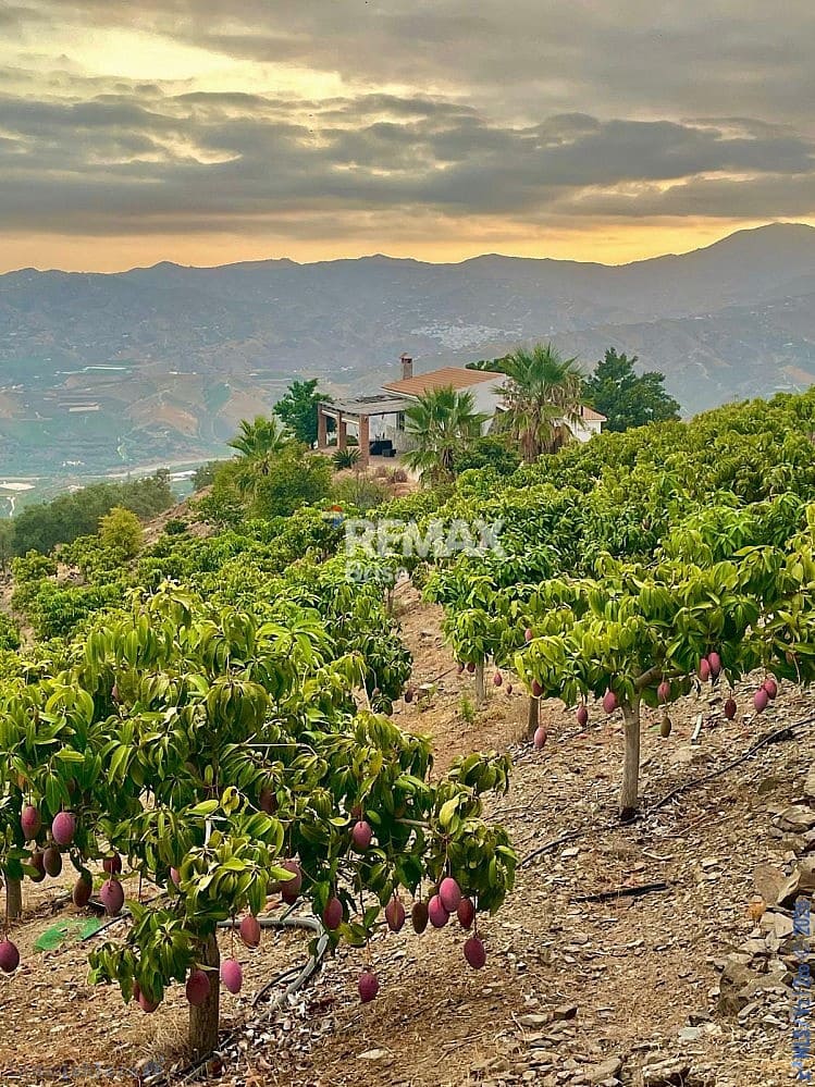 2 Zimmer Haus zu verkaufen in Velez-Malaga mit Pool - 420.000 € (Ref: 9559154)