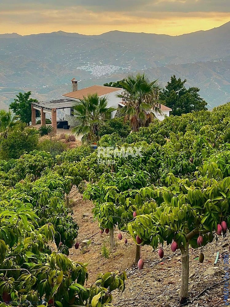 2 Zimmer Haus zu verkaufen in Velez-Malaga mit Pool - 420.000 € (Ref: 9559154)