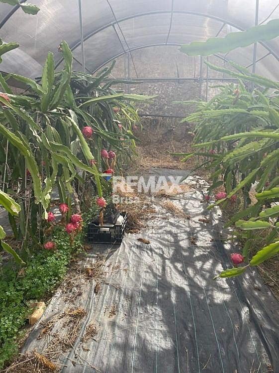 4 sypialnia Willa na sprzedaż w Almayate z basenem - 470 000 € (Ref: 9568469)