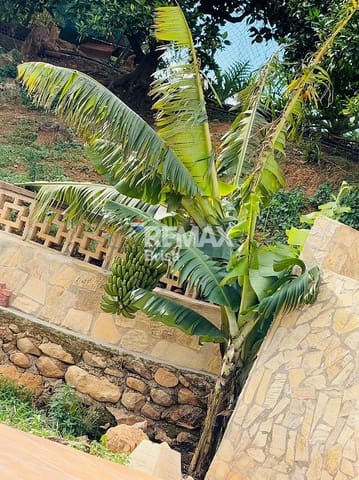 Villa for rent in Venta Baja, Alcaucín - € 1,600 (Ref: 9593194)