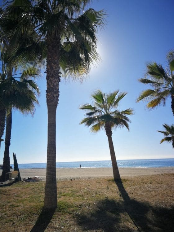 1 soverom Leilighet til leie i Torrox-Costa med svømmebasseng - € 700 (Ref: 9605363)