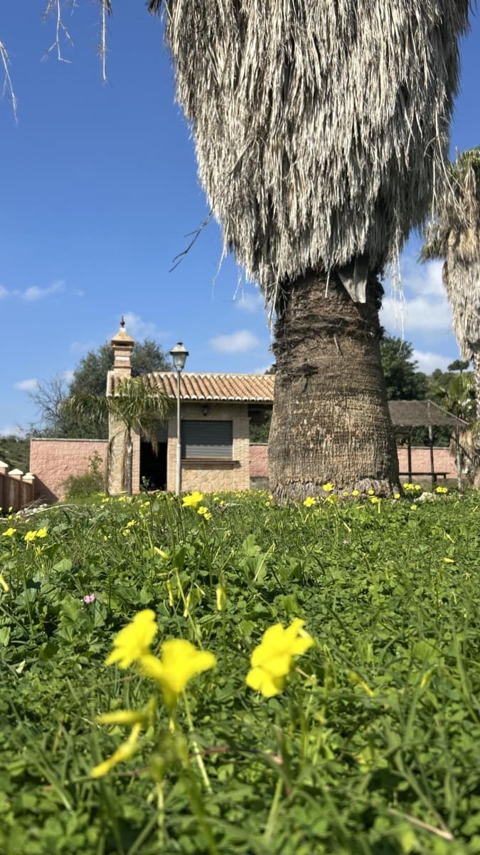 Chalet en Almayate en venta con piscina garaje - 1.300.000 € (Ref: 9651860)