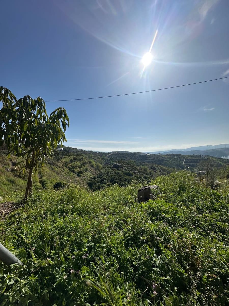 3 sypialnia Finka/Dom wiejski na sprzedaż w Benamargosa z garażem - 350 000 € (Ref: 9651861)