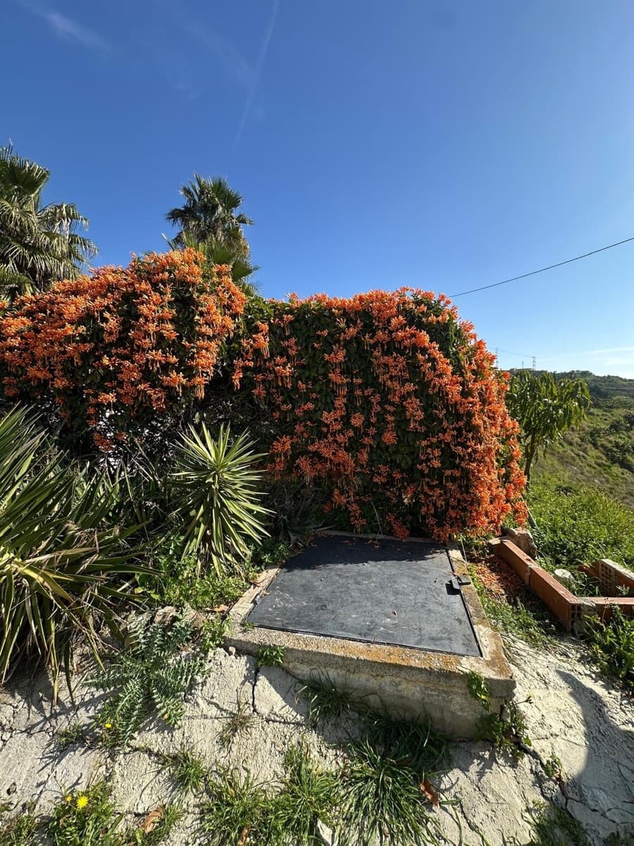 3 sypialnia Finka/Dom wiejski na sprzedaż w Benamargosa z garażem - 350 000 € (Ref: 9651861)