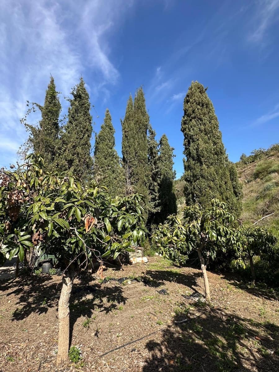 3 sypialnia Finka/Dom wiejski na sprzedaż w Benamargosa z garażem - 350 000 € (Ref: 9651861)