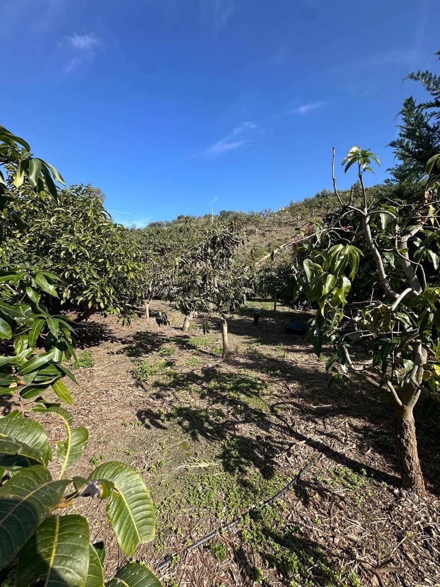 3 sypialnia Finka/Dom wiejski na sprzedaż w Benamargosa z garażem - 350 000 € (Ref: 9651861)