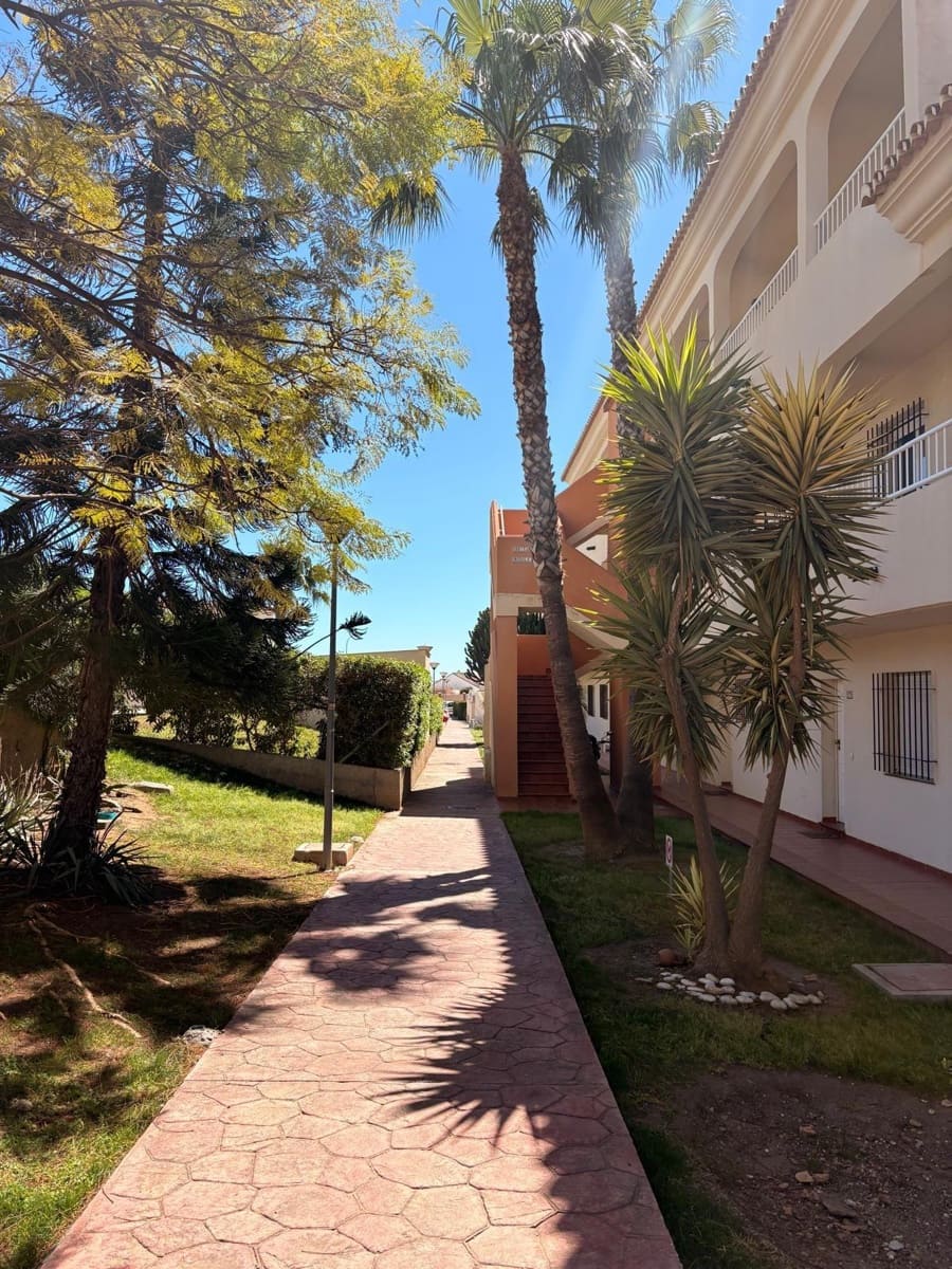 1 bedroom Apartment for rent in Torrox Park with pool - € 700 (Ref: 9735516)