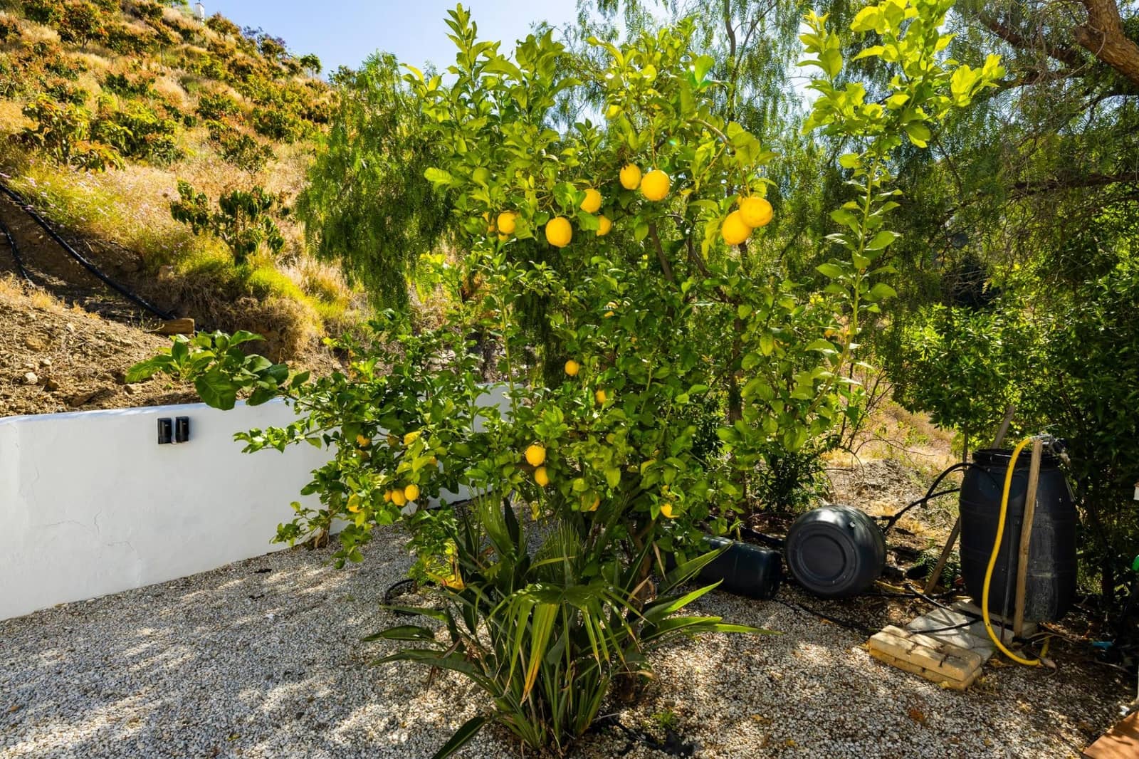 4 soveværelse Villa til salg i Sayalonga med swimmingpool garage - € 1.350.000 (Ref: 9922239)