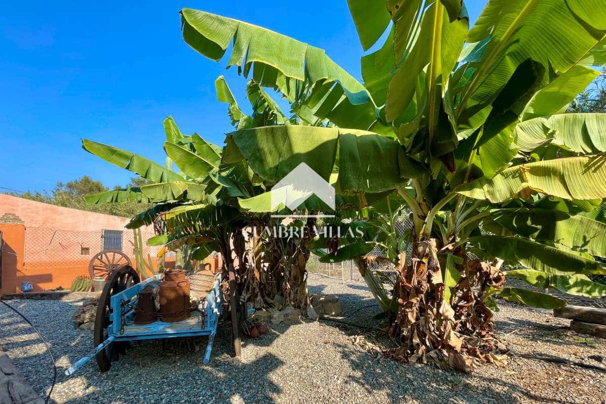 6 soveværelse Finca/Landehus til salg i Torrenueva med swimmingpool garage - € 784.900 (Ref: 6593333)