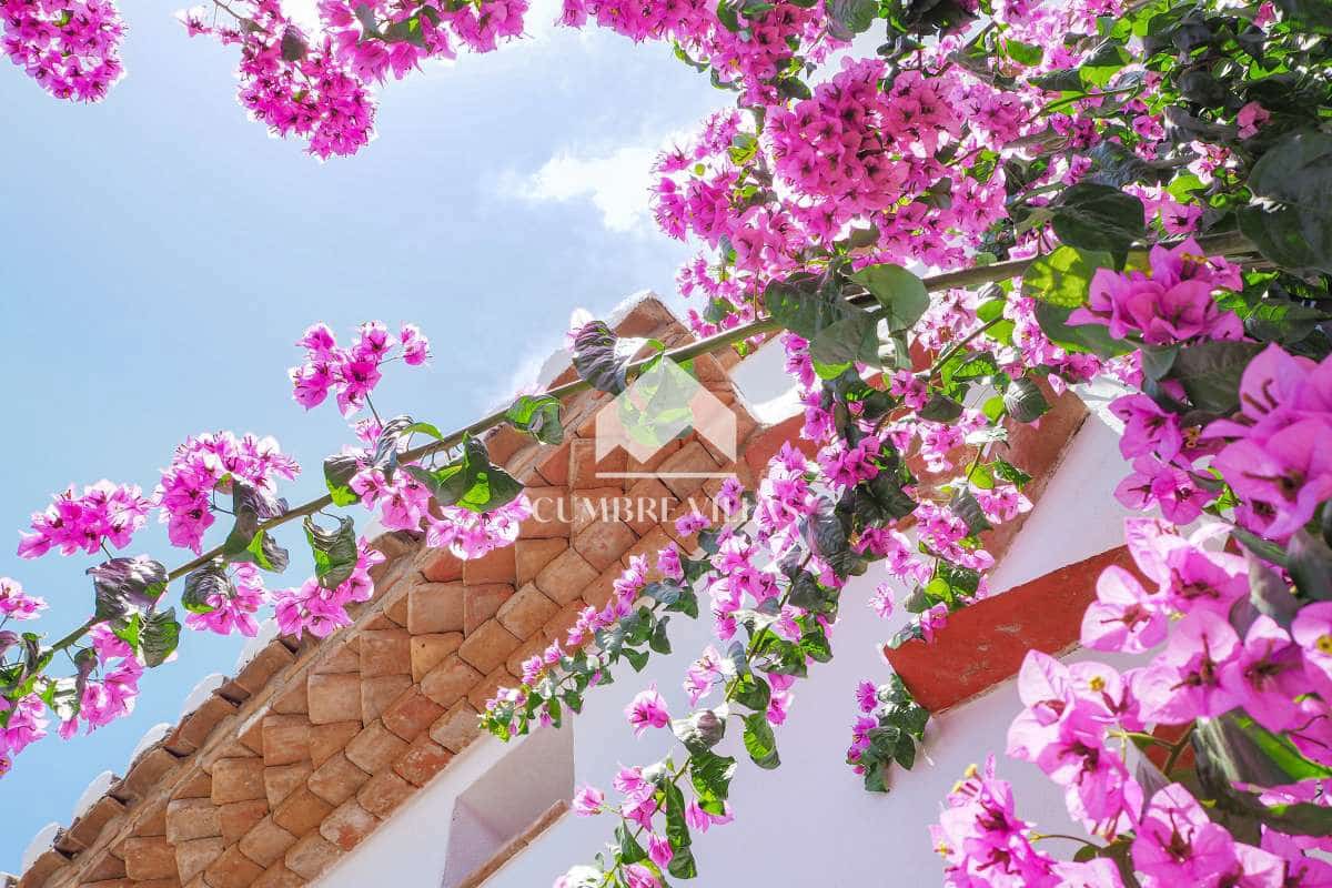 14 camera da letto Finca/Casa di Campagna in vendita in Lecrin con piscina - 1.650.000 € (Rif: 7266969)