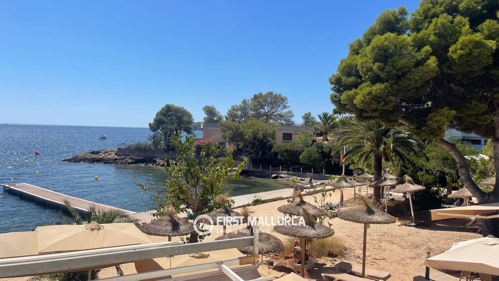 Appartement de 1 chambre à louer à Portals Vells - 2 000 € (Ref: 10088599)