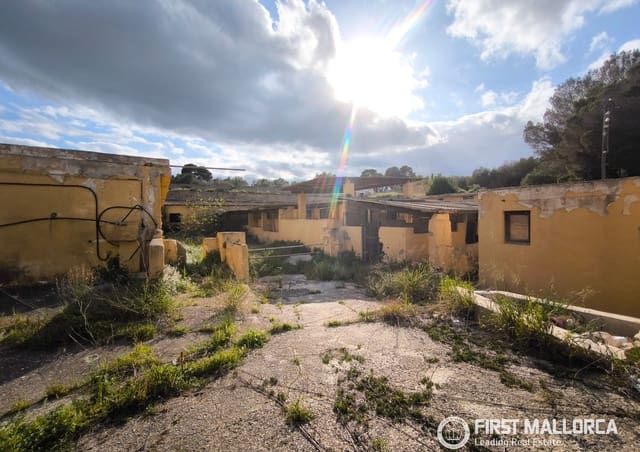 Commercieel te koop in L'Arenal, Palma de Mallorca met garage - € 650.000 (Ref: 10099396)