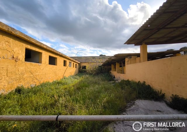 Commercieel te koop in L'Arenal, Palma de Mallorca met garage - € 650.000 (Ref: 10099396)