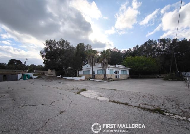 Commercieel te koop in L'Arenal, Palma de Mallorca met garage - € 650.000 (Ref: 10099396)